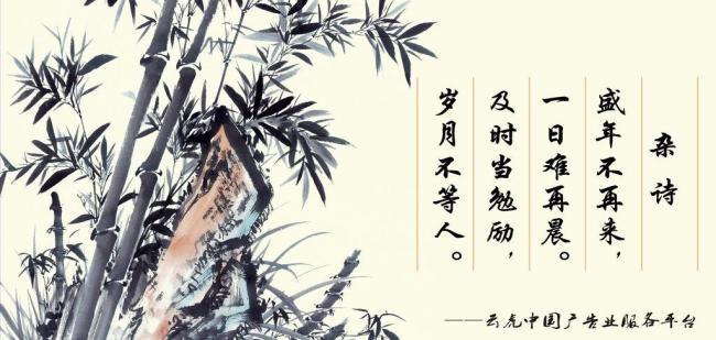 辦公室風(fēng)水?dāng)[件，助你事業(yè)風(fēng)生水起